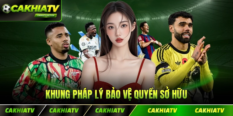 Khung pháp lý bảo vệ quyền sở hữu nội dung bản thân sàn cùng đối tác