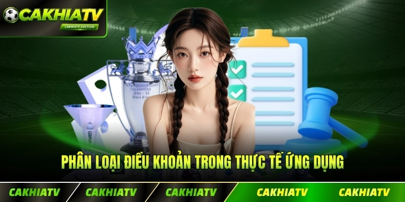 Phân loại điều khoản trong thực tế ứng dụng